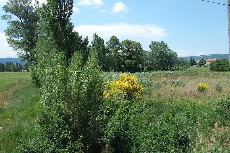 2011-05- (1557).JPG